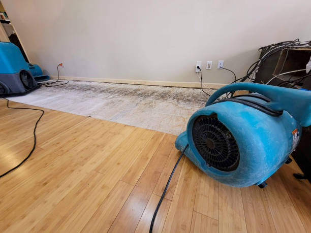 Professional Flood Damage Cleanup technician working in Hackberry, AZ